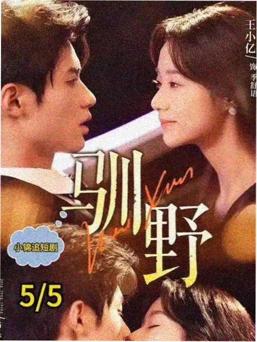 日剧在线观看青春成长剧《无人接听的夏天》海报